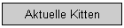 Aktuelle Kitten