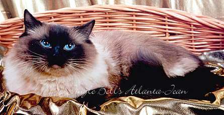 Jingle Bells Atlanta-Jean